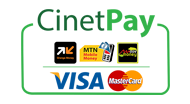 Paiement Mobile - Wave & Carte bancaire