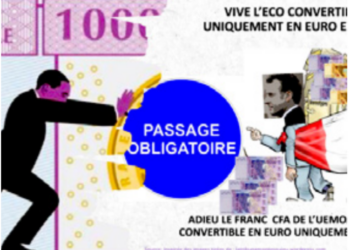 46 ans de démarches mais le F CFA refuse de se muer en Eco.