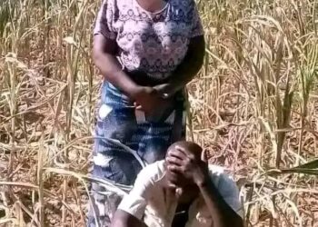 La pluie d’août en exil