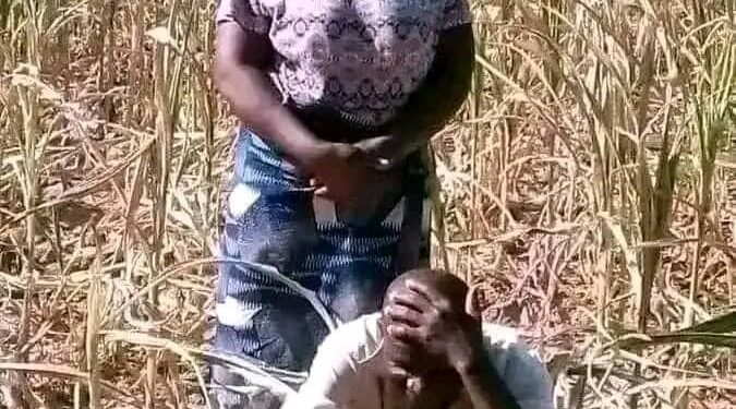 La pluie d’août en exil