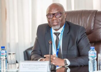 TOGO-Port Autonome de Lomé, le discours périmé d’un port en eaux profondes