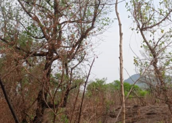 Quand la CEET abandonne les populations de NATCHAMB dans le canton de Bangéli