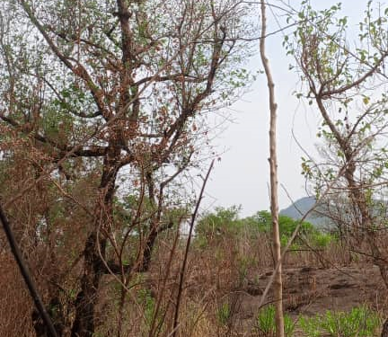 Quand la CEET abandonne les populations de NATCHAMB dans le canton de Bangéli