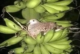 QUELLE MAGNIFIQUE LEÇON DE LA VIE