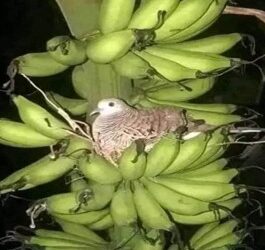 QUELLE MAGNIFIQUE LEÇON DE LA VIE